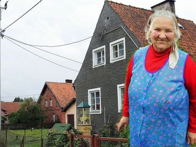 Prąd zabija ptaki